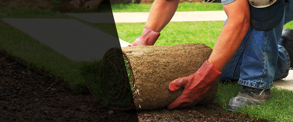 Albrightsville Landscapers